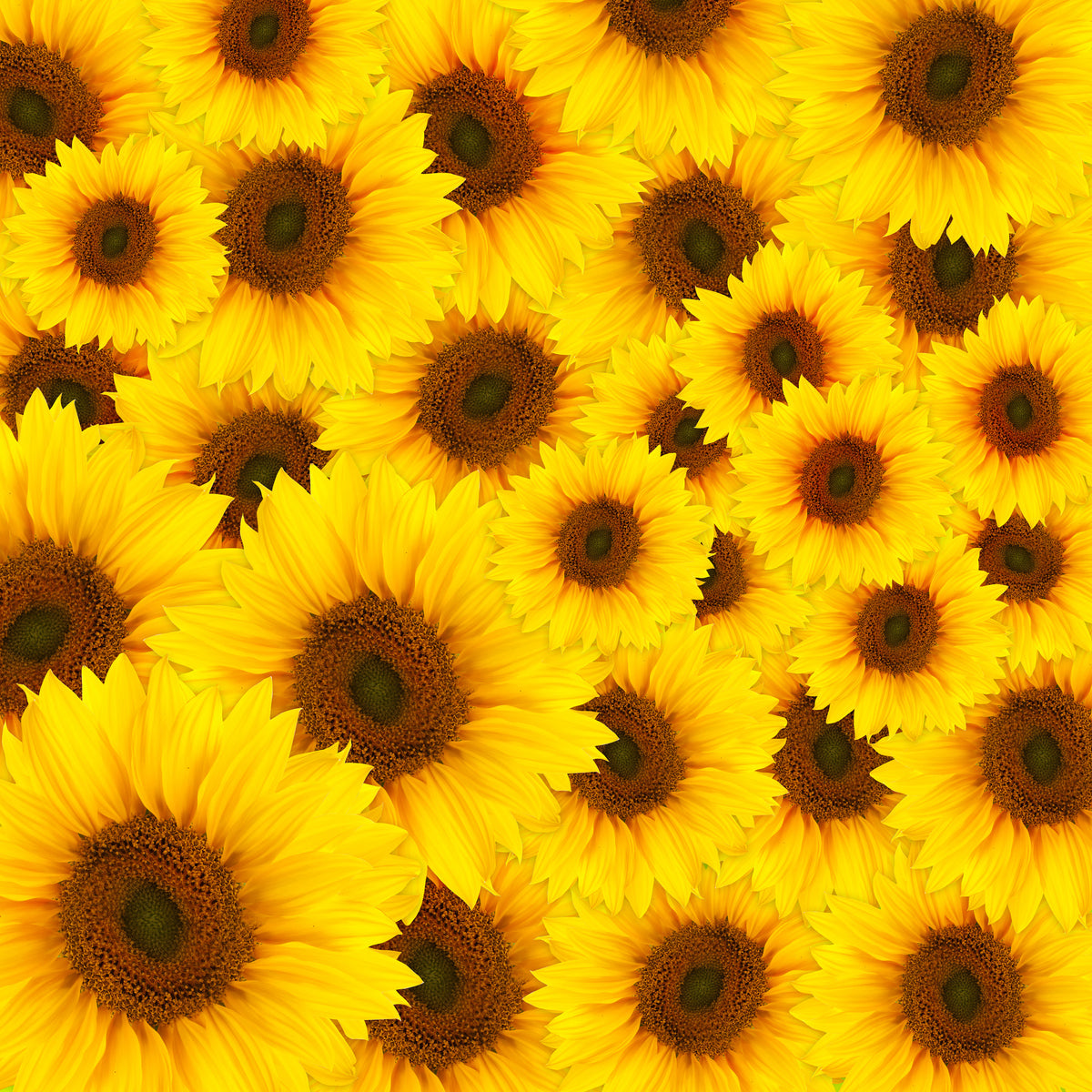 9-piece-acrylic-print-a-bouquet-sunflower