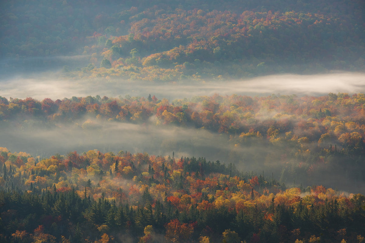 acrylic-print-misty-morning-ii-a