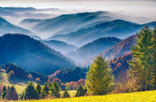 3-piece-canvas-print-black-forest-autumn-colors-and-haze