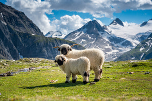 poster-print-alpine-peace-in-the-alps