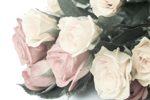 canvas-print-romantic-rose