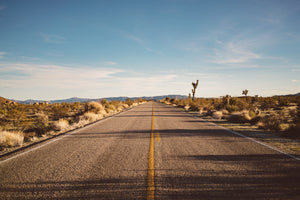aluminium-print-joshua-tree-road-2
