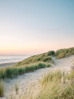 canvas-print-dutch-dunes