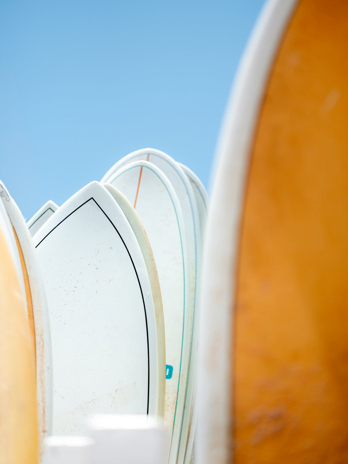 canvas-print-surf-vibes