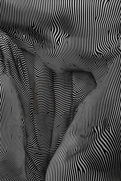 poster-print-zebra-structural-flow