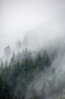 aluminium-print-foggy-morning-2