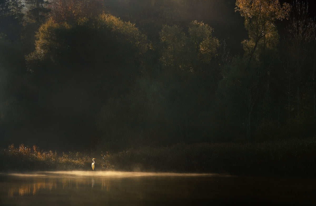 3-piece-canvas-print-down-by-the-river