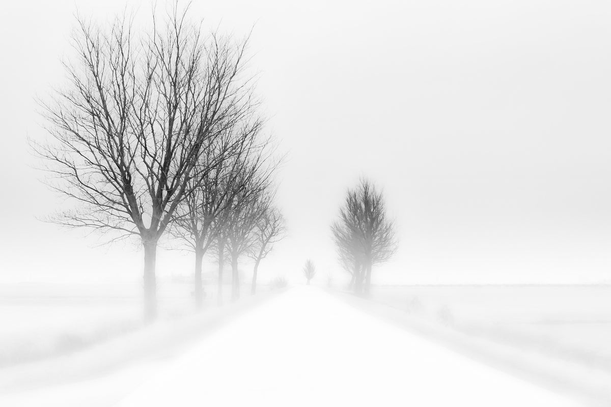 canvas-print-my-tiny-world-x