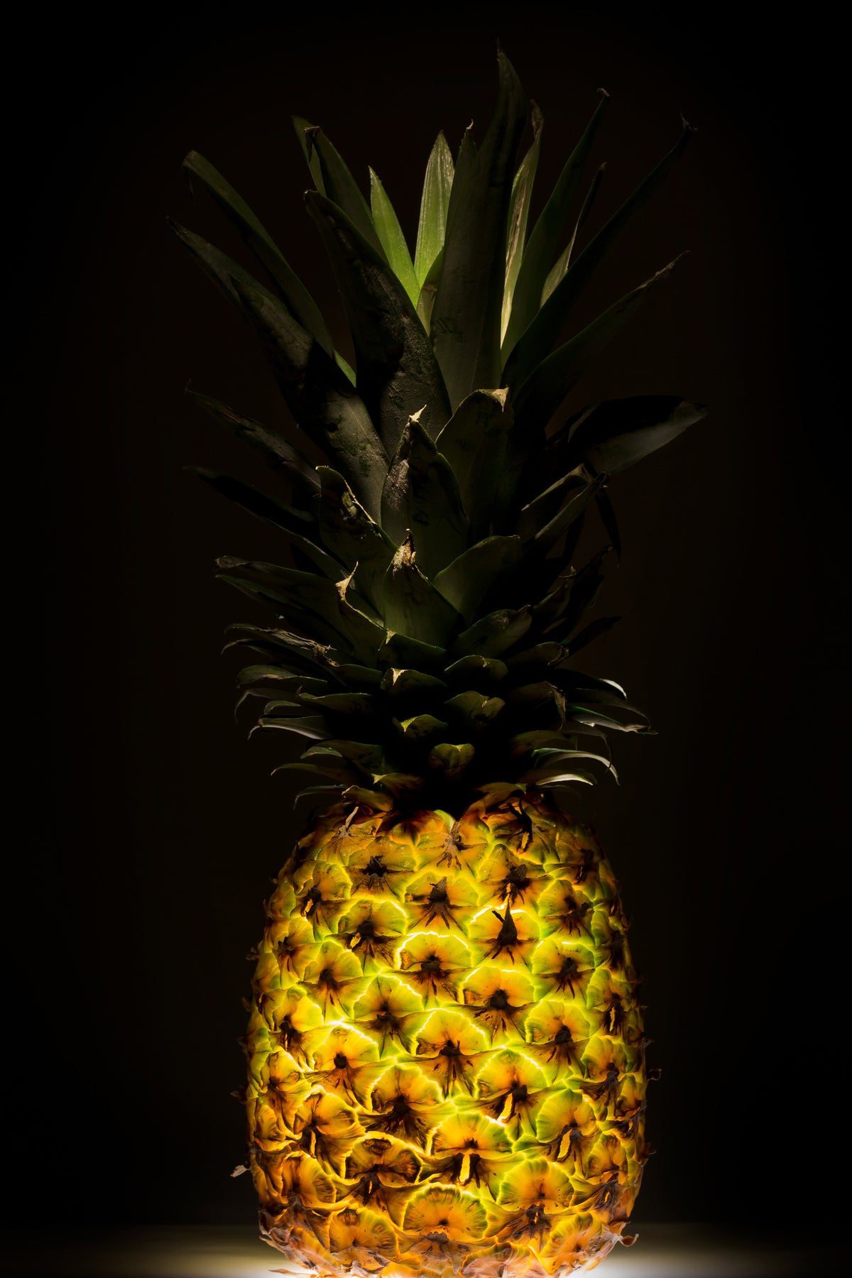 aluminium-print-pineapple