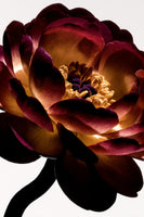 canvas-print-lightfall-florals-sunlit-ruffle