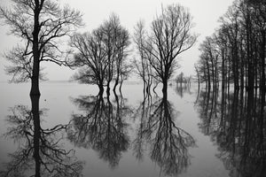 framedcanvas-print-flood-x