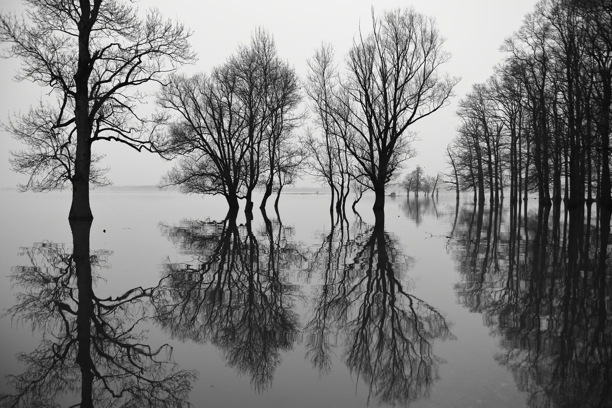 framedcanvas-print-flood-x