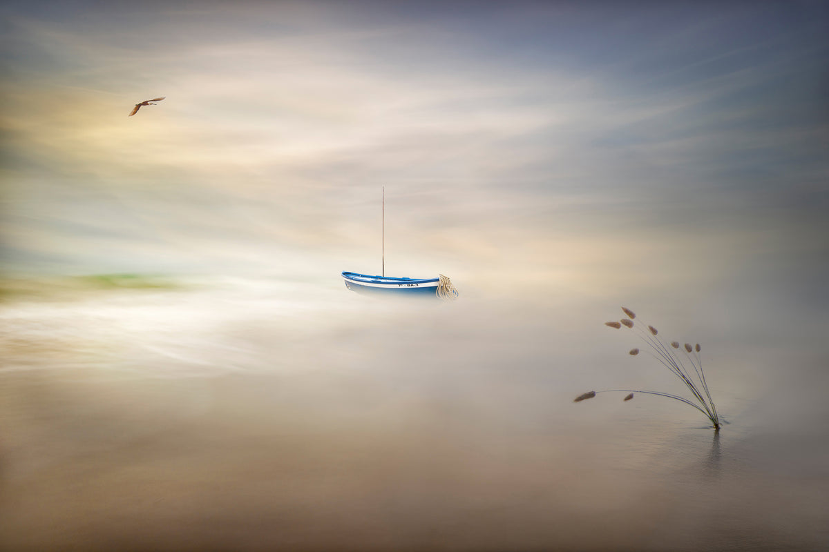 acrylic-print-dreaming-of-the-sea-x