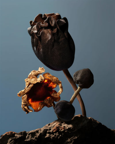 poster-print-still-life-flowers-no2
