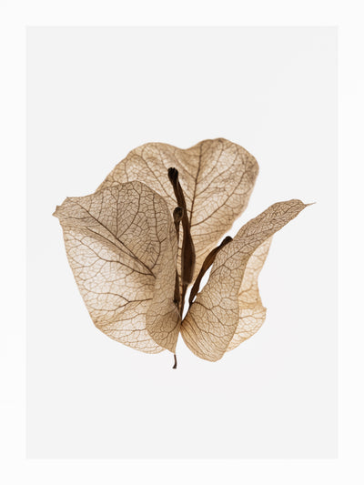 poster-print-gilded-pause