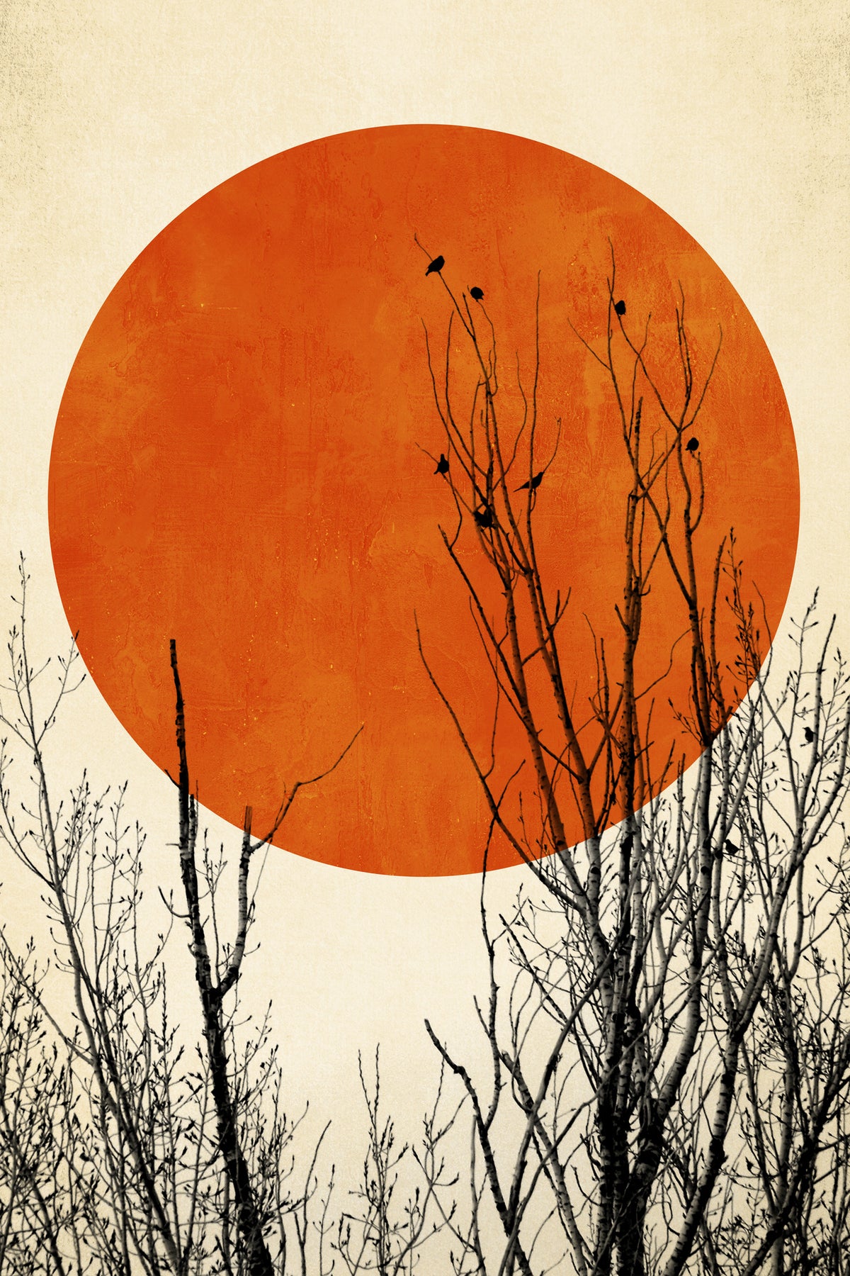 acrylic-print-winter-glow