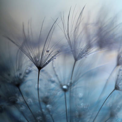 poster-print-teardrops