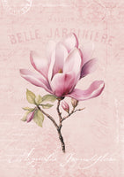 framedcanvas-print-magnolia-pink-no1