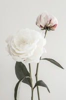 aluminium-print-peony-12