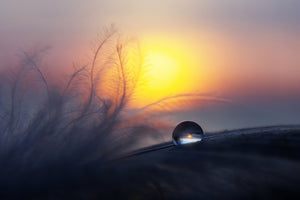 aluminium-print-morning-2