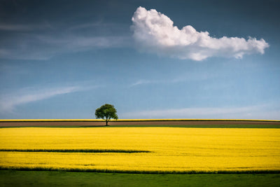 poster-print-the-tree-and-the-cloud-x