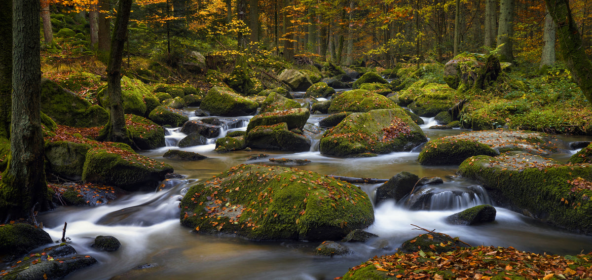 acrylic-print-autumn-waters