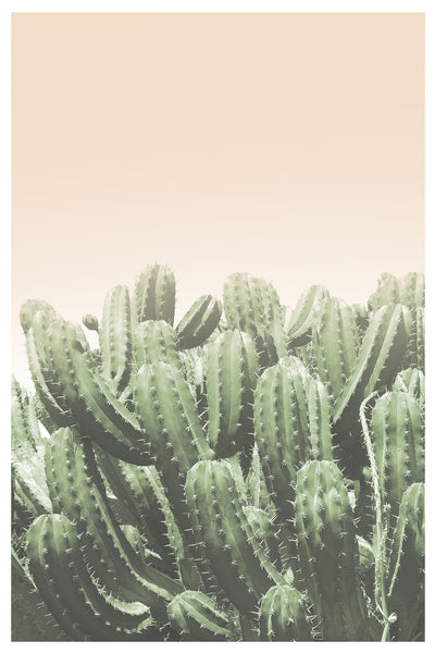 poster-print-deserts-embrace