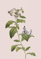aluminium-print-botanical-cycling