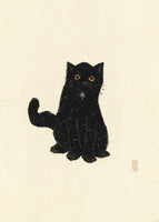 acrylic-print-humphrey-the-cat