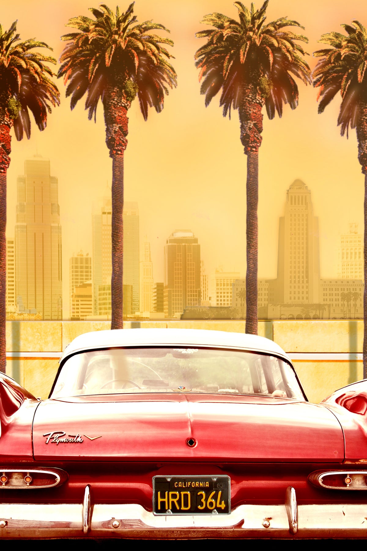 acrylic-print-plymouth-savoy-with-palms