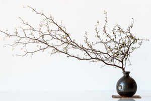 aluminium-print-vase-and-branch-x