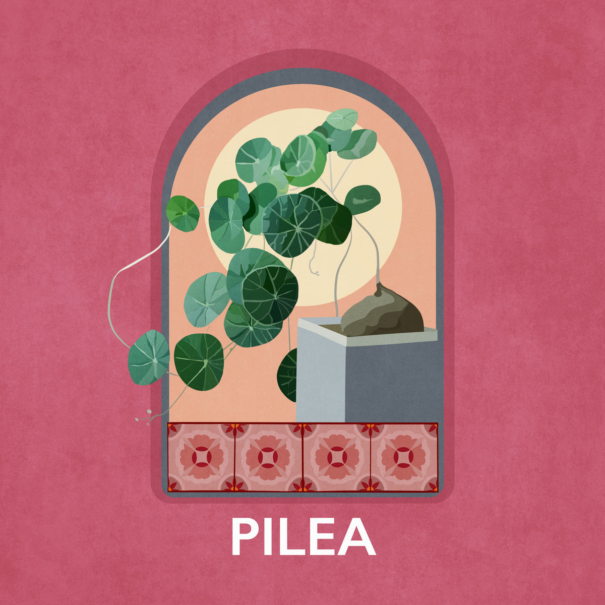 aluminium-print-green-sets-pilea