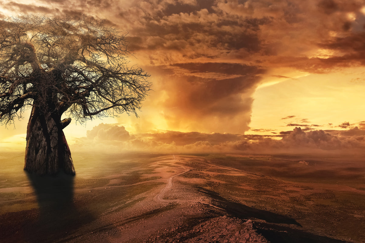framedcanvas-print-cyclone-in-the-sunset