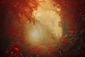 framedposter-print-personal-journey