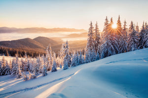 poster-print-winter-morning-in-the-carpathians