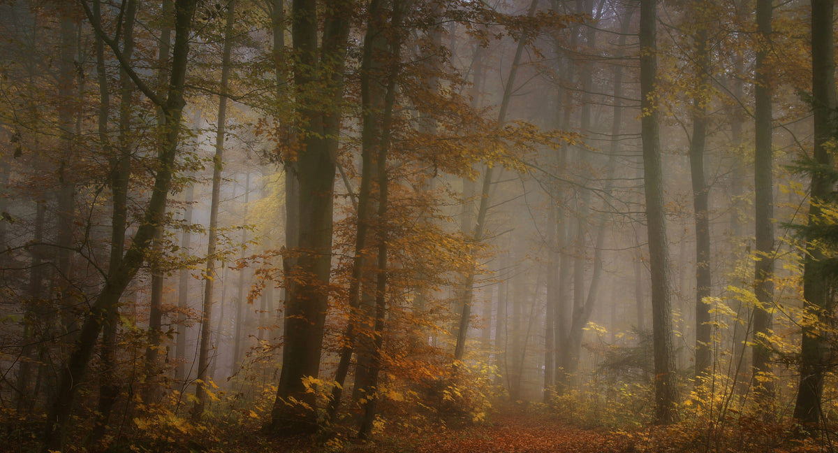 poster-print-my-november