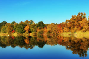 3-piece-canvas-print-autumn-reflections