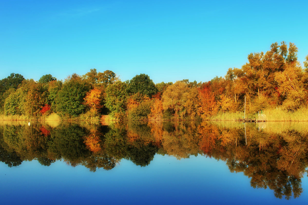 3-piece-canvas-print-autumn-reflections