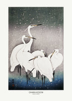 aluminium-print-group-of-egrets