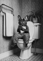 aluminium-print-bathroom-french-bulldog
