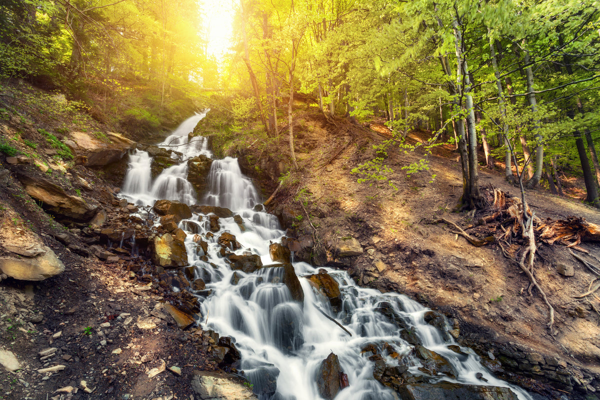 3-piece-canvas-print-natural-beauty