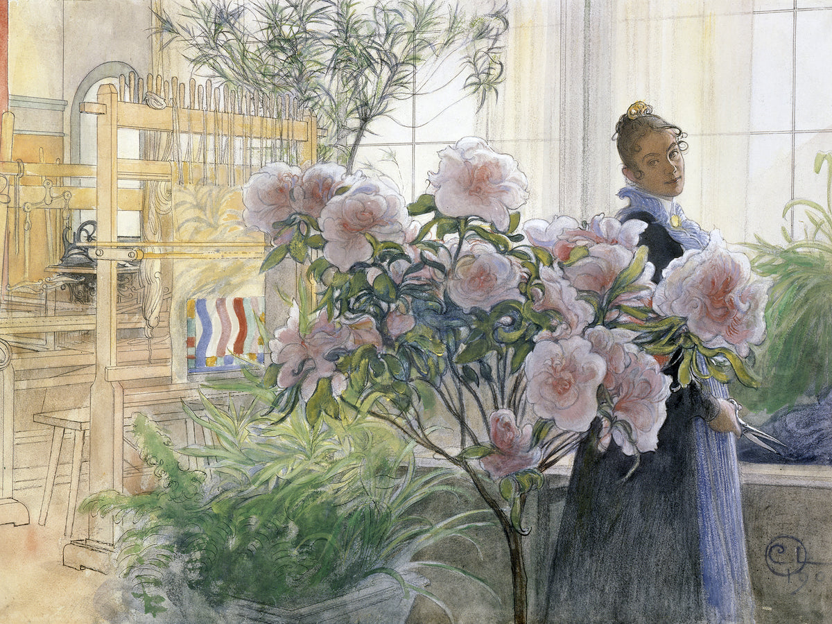 framedcanvas-print-azalea-1906
