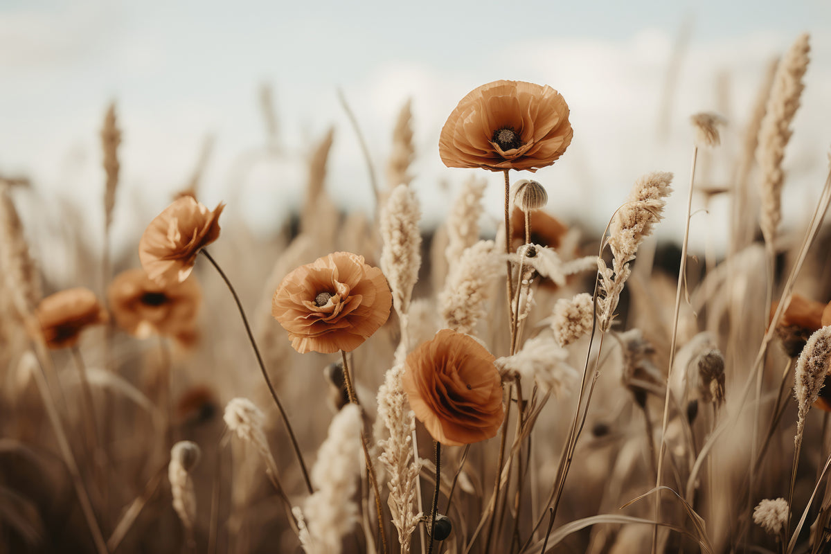 framedposter-print-poppies-in-breeze