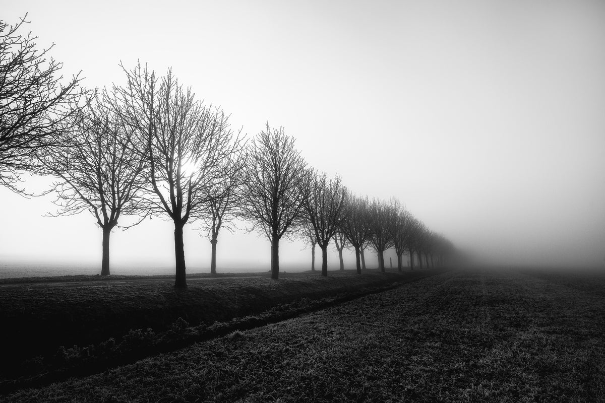 acrylic-print-losing-sight-x