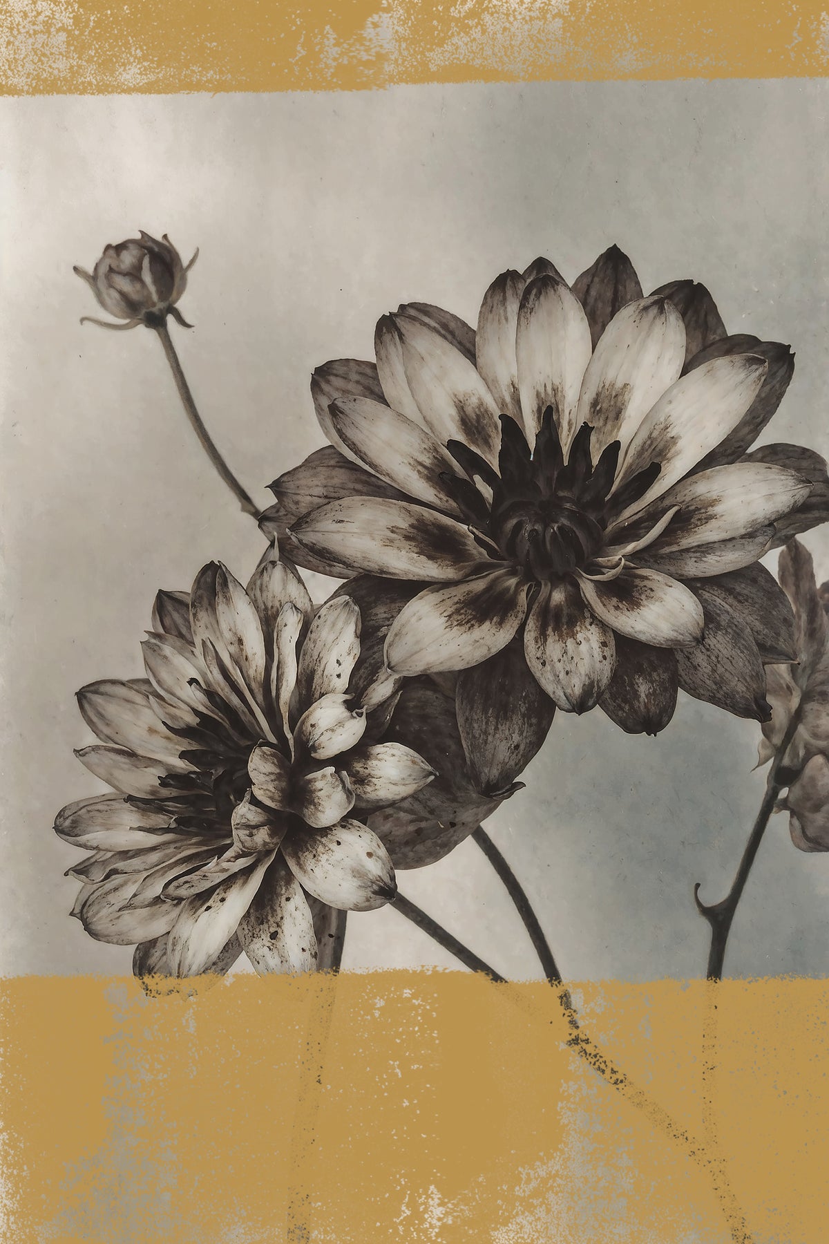 aluminium-print-vintage-flowers-no6