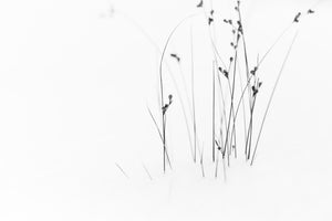 3-piece-canvas-print-black-on-white