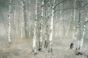 3-piece-acrylic-print-morning-silence-2