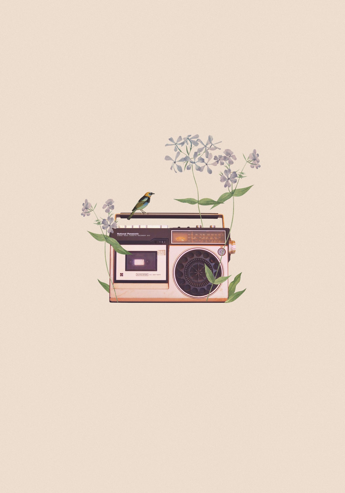 framedposter-print-floral-vintage-radio