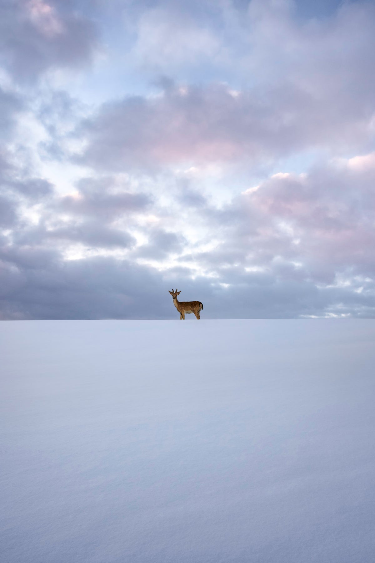 framedposter-print-alone