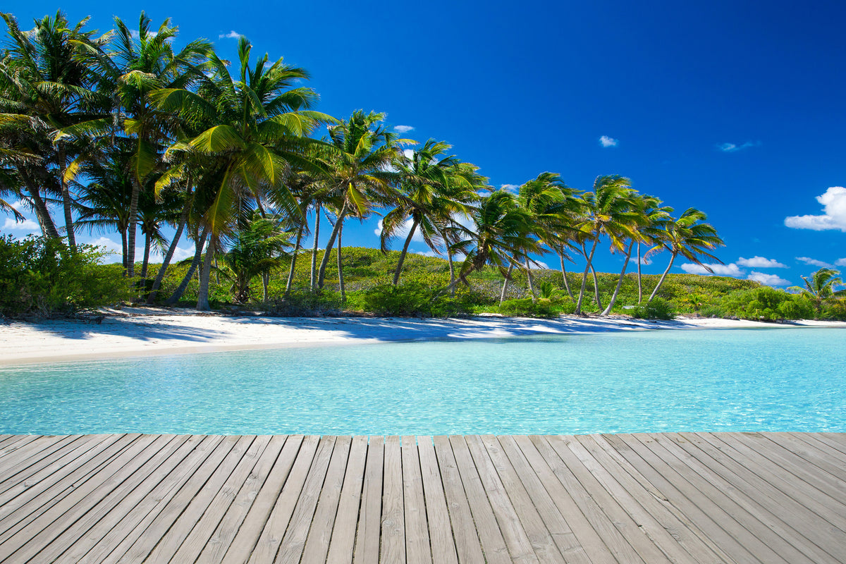 poster-print-beach-palms